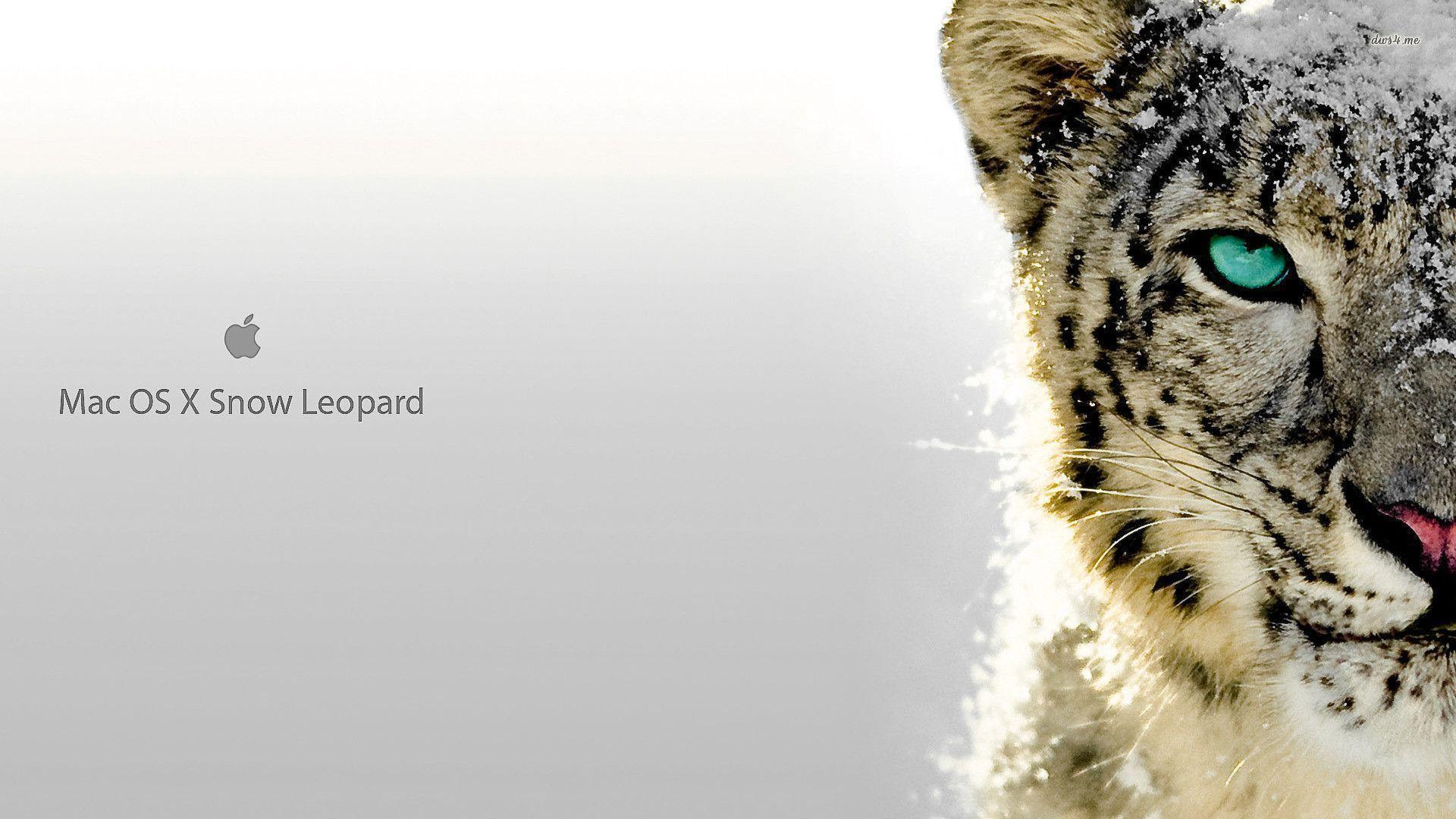 Mac snow leopard usb